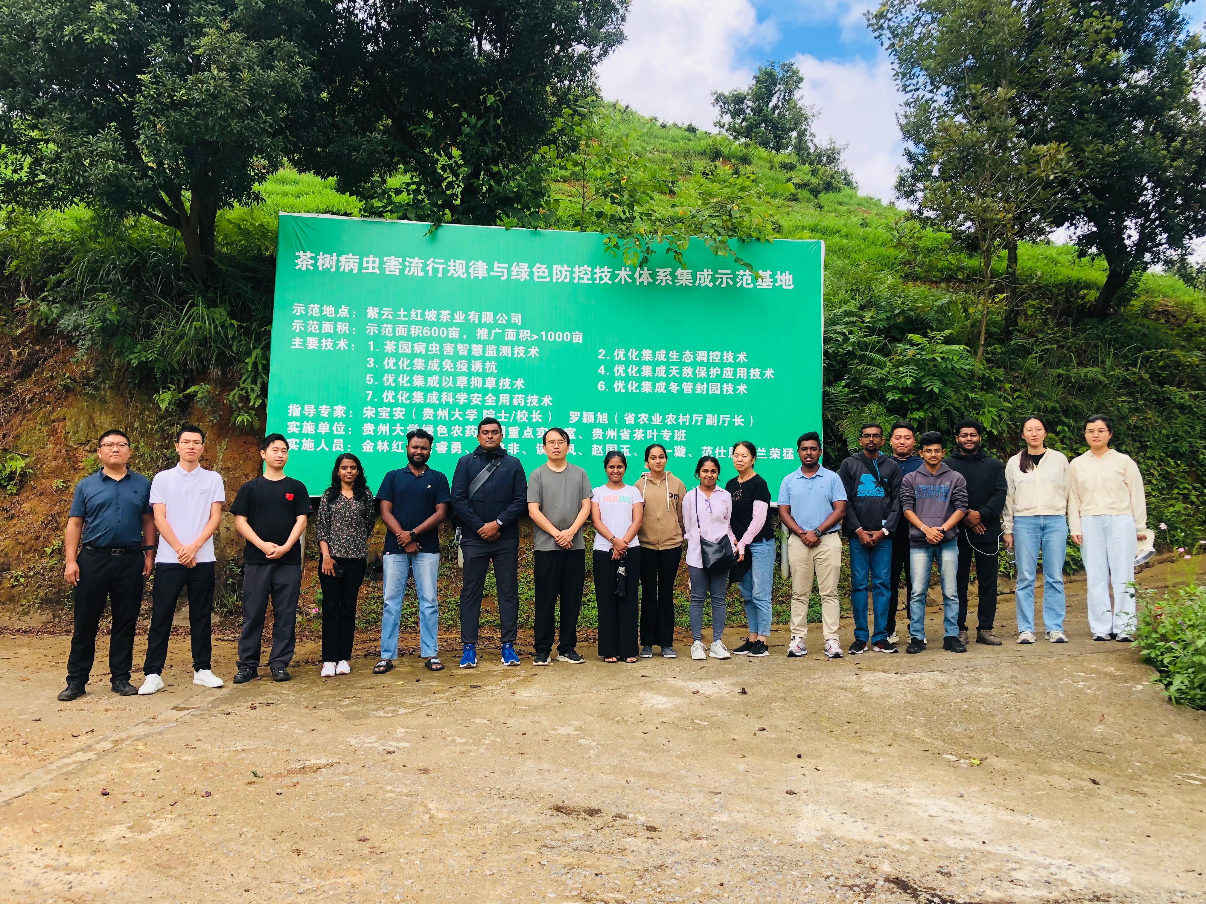 Wise Wings Global Consultants